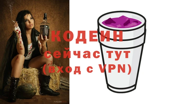 спиды Пестово