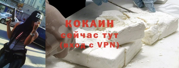 прущий лед Пересвет