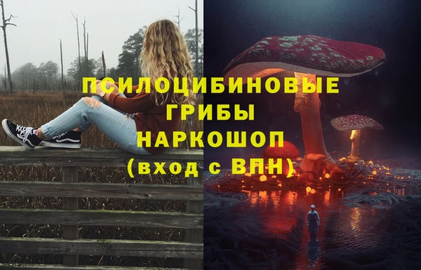 эйфоретик Ельня