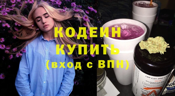 спиды Пестово