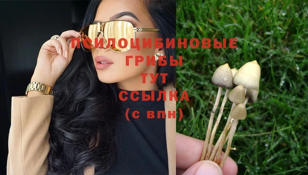 спиды Пестово
