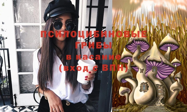 бошки Переславль-Залесский