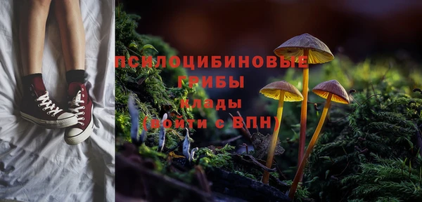 спиды Пестово