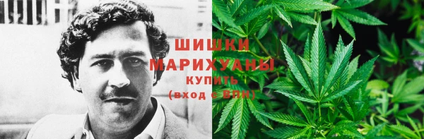 бошки Переславль-Залесский