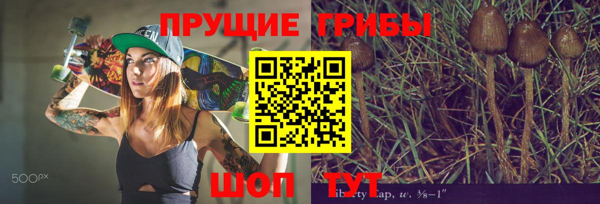 Галлюциногенные грибы Cubensis Асбест